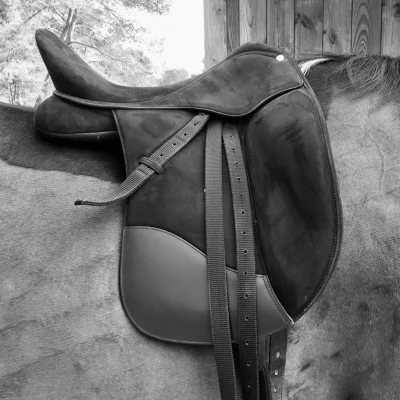 Selle dressage Isabell Werth